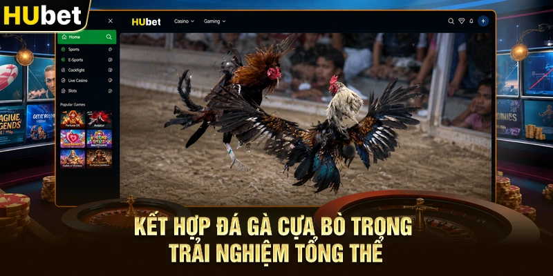 Kết hợp Đá gà cựa bò trong trải nghiệm tổng thể
