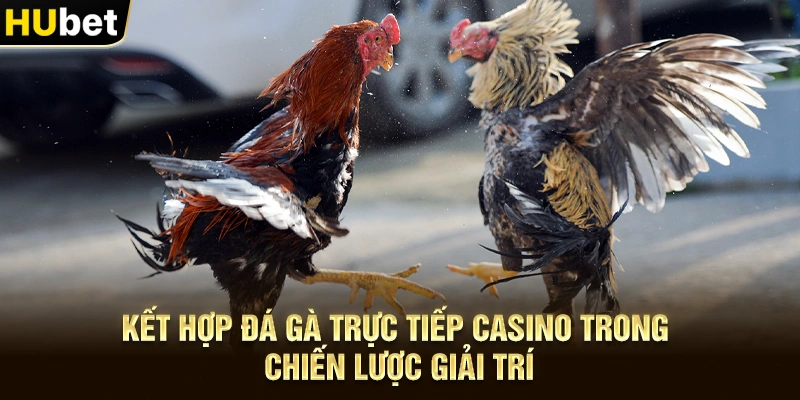 Kết hợp Đá gà trực tiếp casino trong chiến lược giải trí
