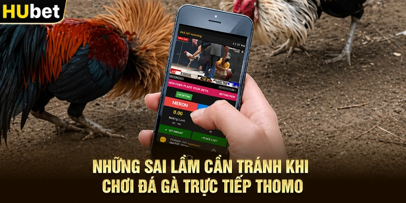 Những sai lầm cần tránh khi chơi Đá gà trực tiếp Thomo