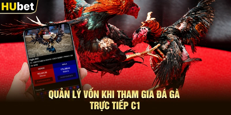 Quản lý vốn khi tham gia Đá gà trực tiếp C1